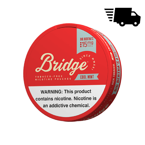 Bridge Nicotine Pouches - Cool Mint